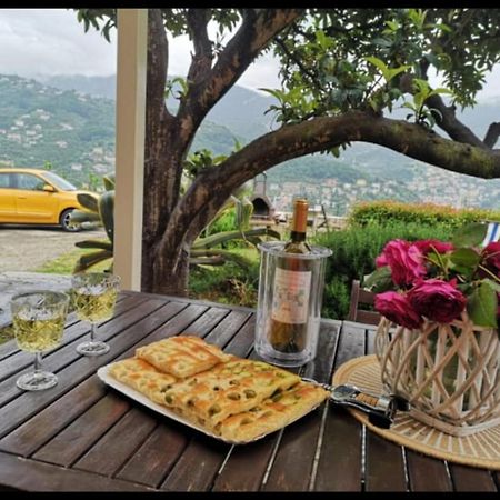 Villa Venino 모네글리아 외부 사진
