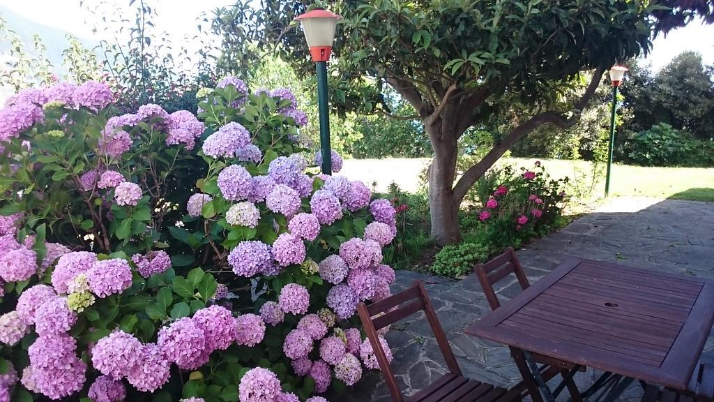 Villa Venino 모네글리아 외부 사진
