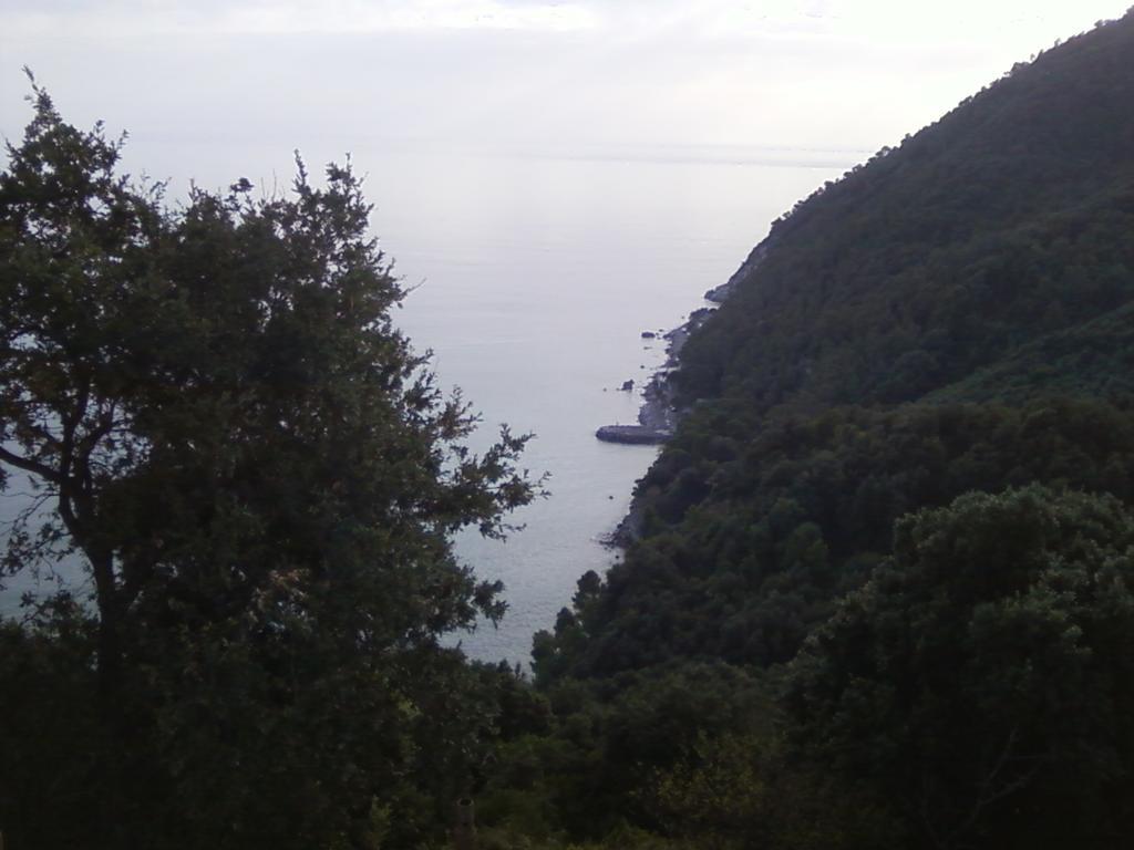 Villa Venino 모네글리아 외부 사진