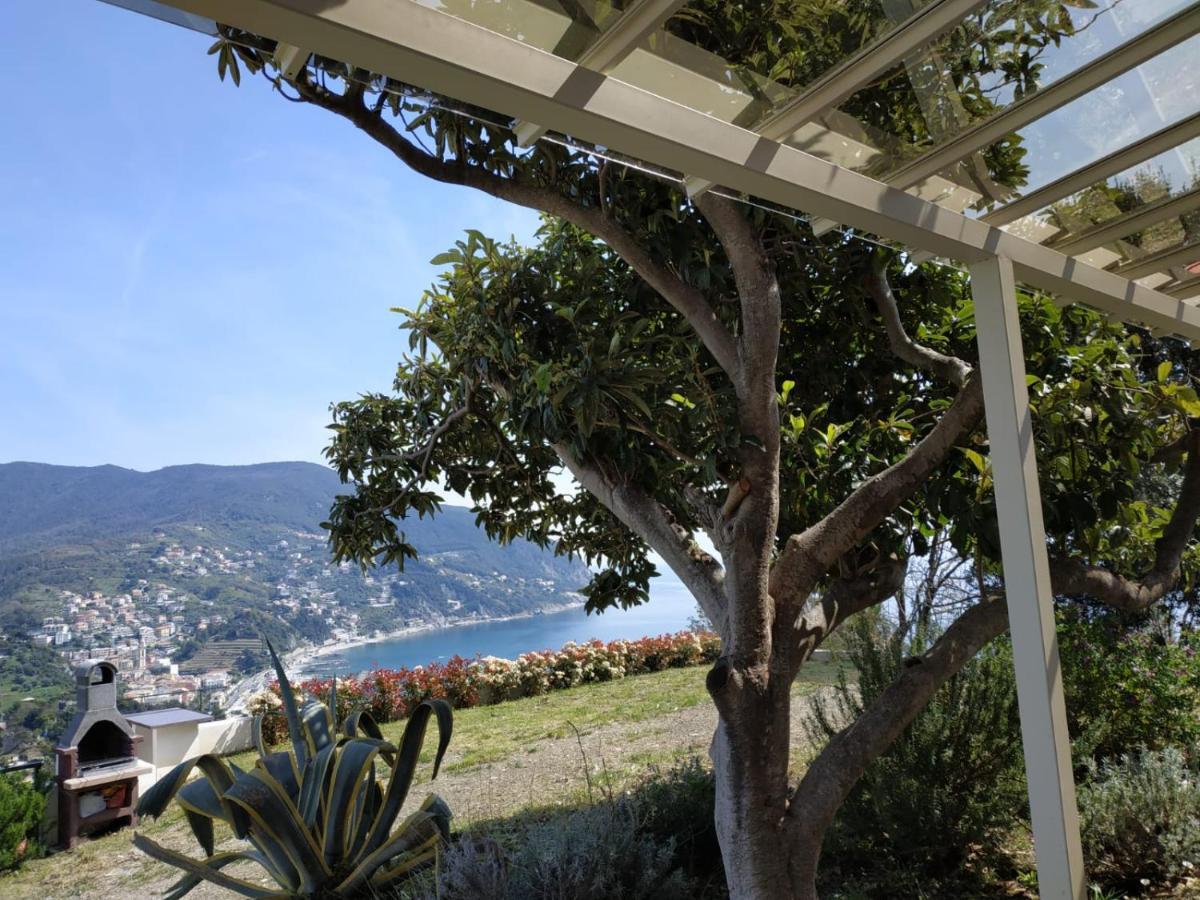 Villa Venino 모네글리아 외부 사진